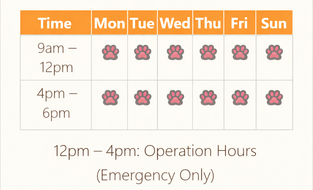 Open Hours